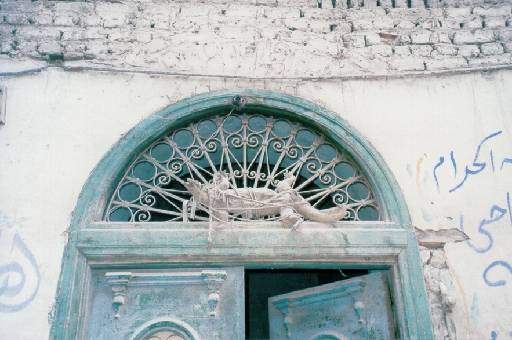 lizard door